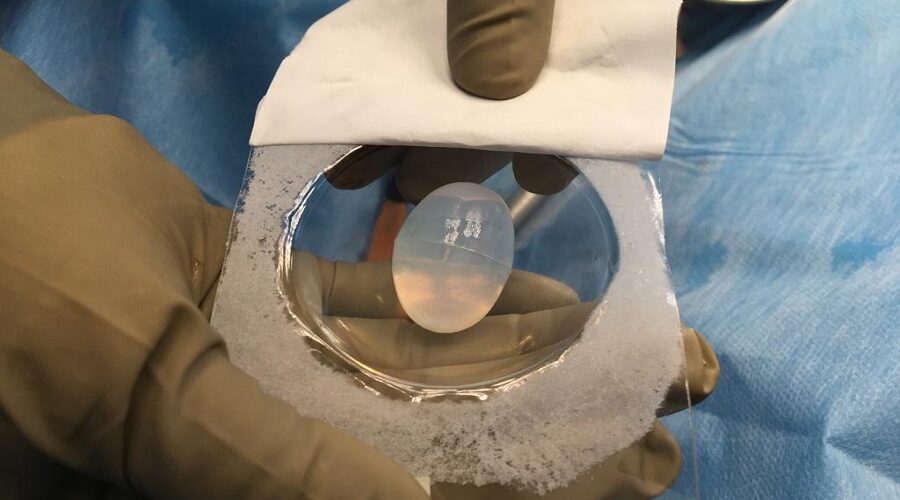 Artificial Testis image