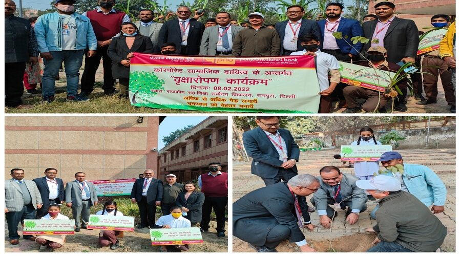 Panjab National Bank CSR work - EVENT Collage Photo